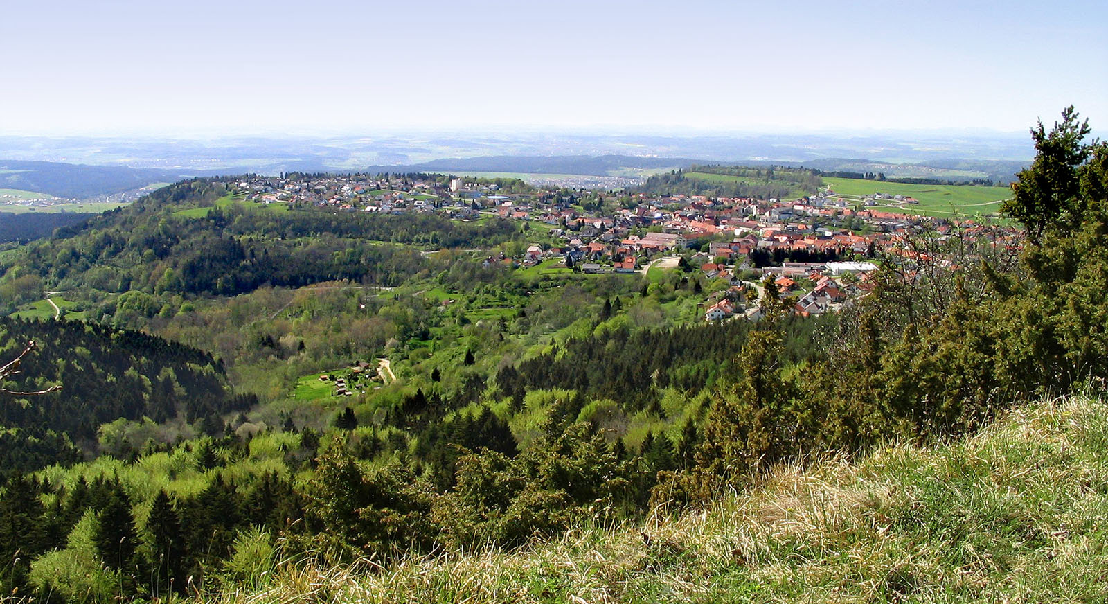 Gosheim